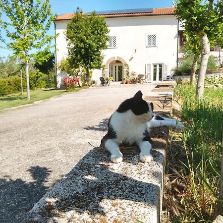 Le Piracante Caiazzo Luaran gambar