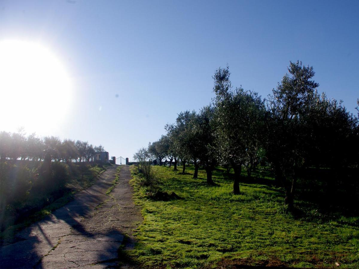 Le Piracante Caiazzo Luaran gambar