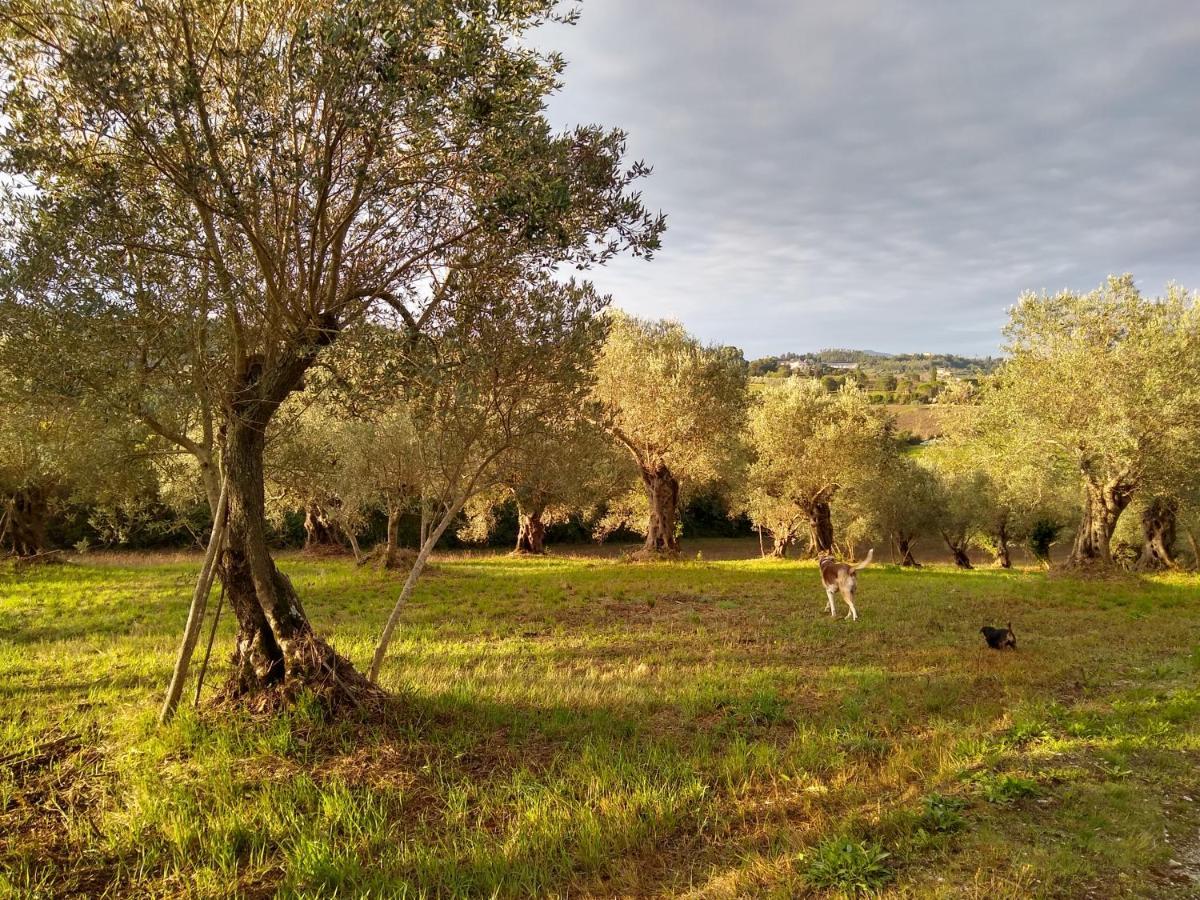 Le Piracante Caiazzo Luaran gambar