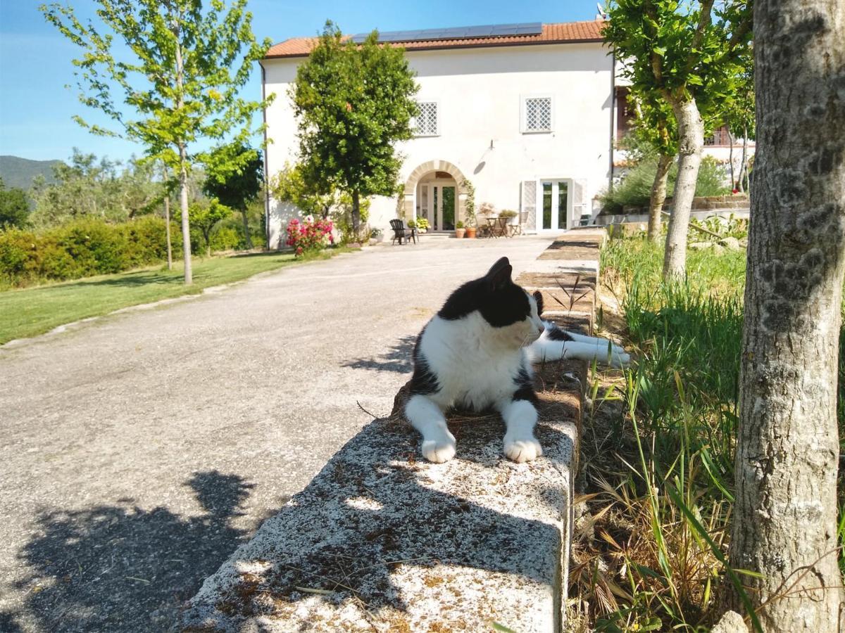 Le Piracante Caiazzo Luaran gambar