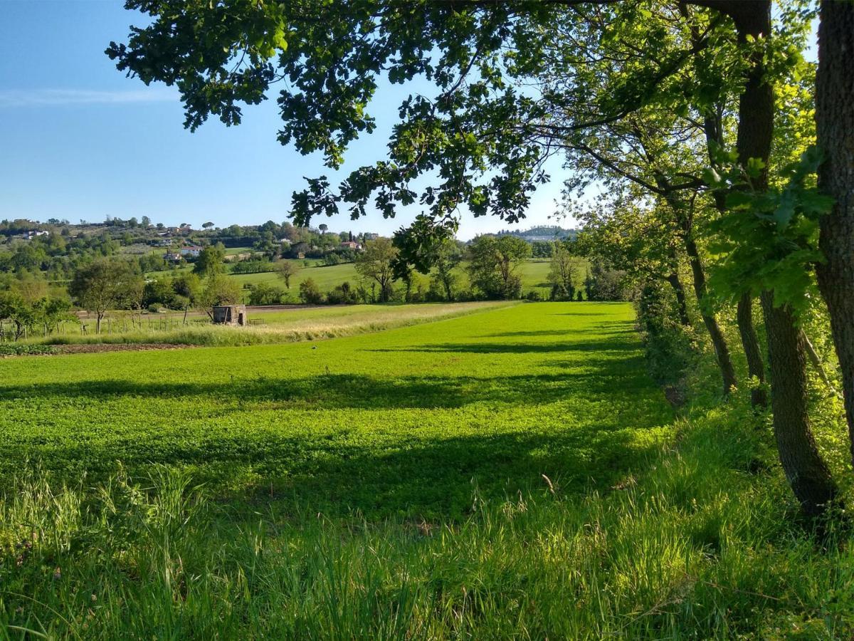 Le Piracante Caiazzo Luaran gambar