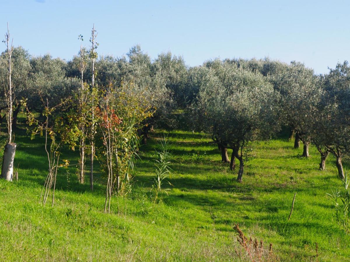 Le Piracante Caiazzo Luaran gambar