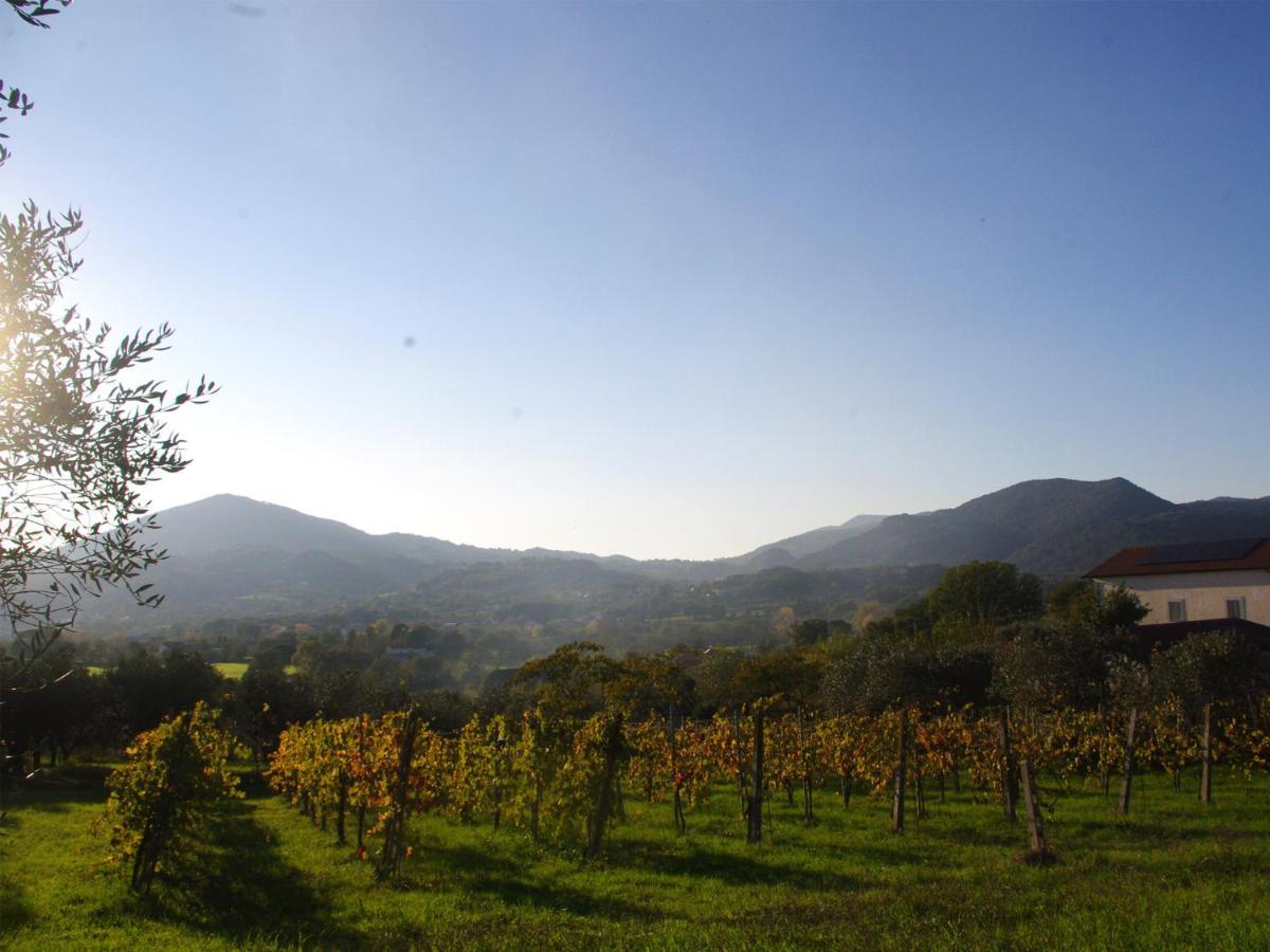Le Piracante Caiazzo Luaran gambar